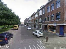 Swammerdamsingel